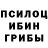 Псилоцибиновые грибы Psilocybe QrBaUS