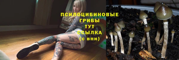 бошки Баксан