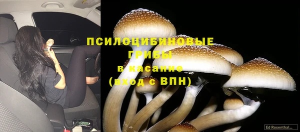 бошки Баксан