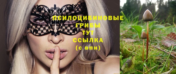 бошки Баксан