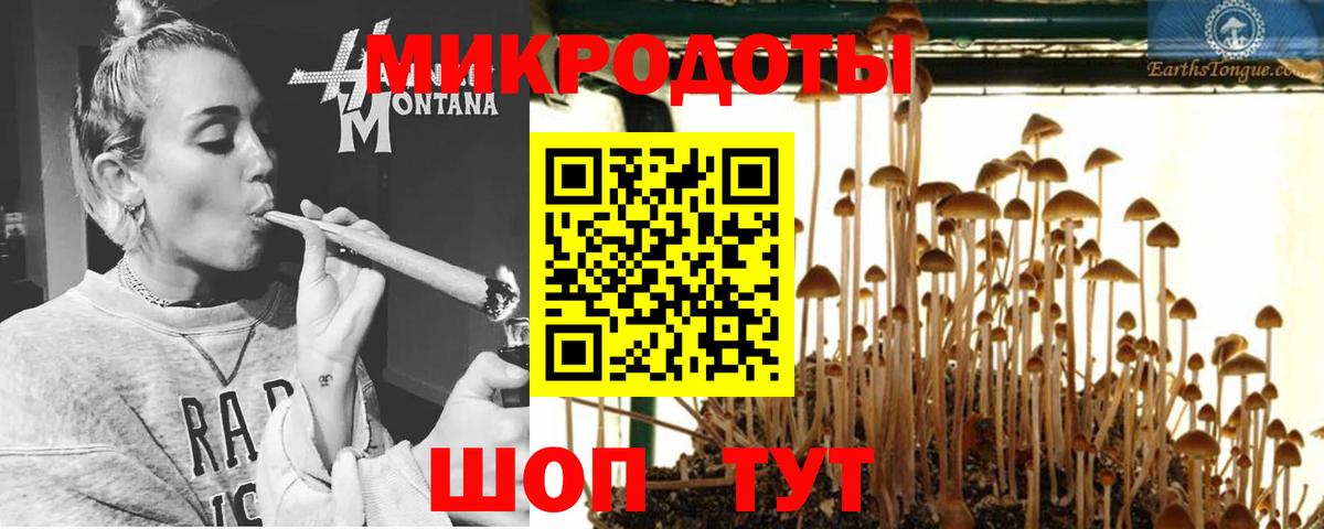 Галлюциногенные грибы MAGIC MUSHROOMS  Вход с VPN  Верхняя Пышма  продажа наркотиков  Галлюциногенные грибы прущие грибы 