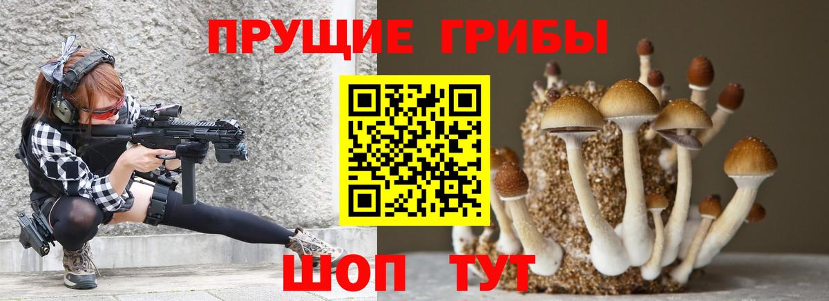 Псилоцибиновые грибы GOLDEN TEACHER  Верхняя Пышма  Галлюциногенные грибы Psilocybe 