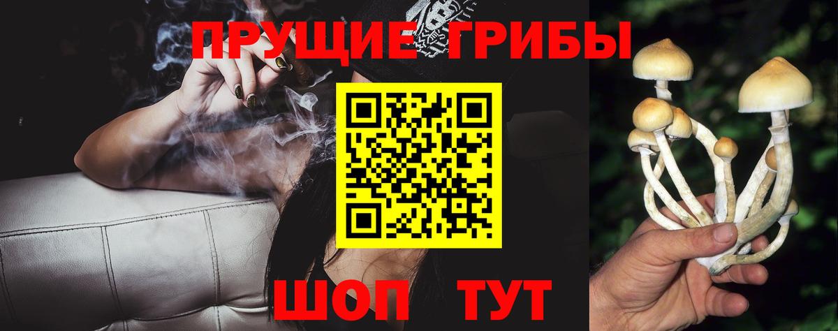 Галлюциногенные грибы MAGIC MUSHROOMS Верхняя Пышма